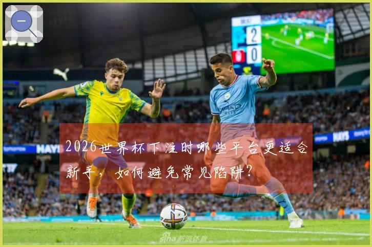 2026世界杯下注时哪些平台更适合新手，如何避免常见陷阱？