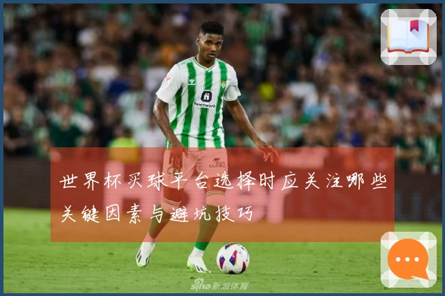 世界杯买球平台选择时应关注哪些关键因素与避坑技巧